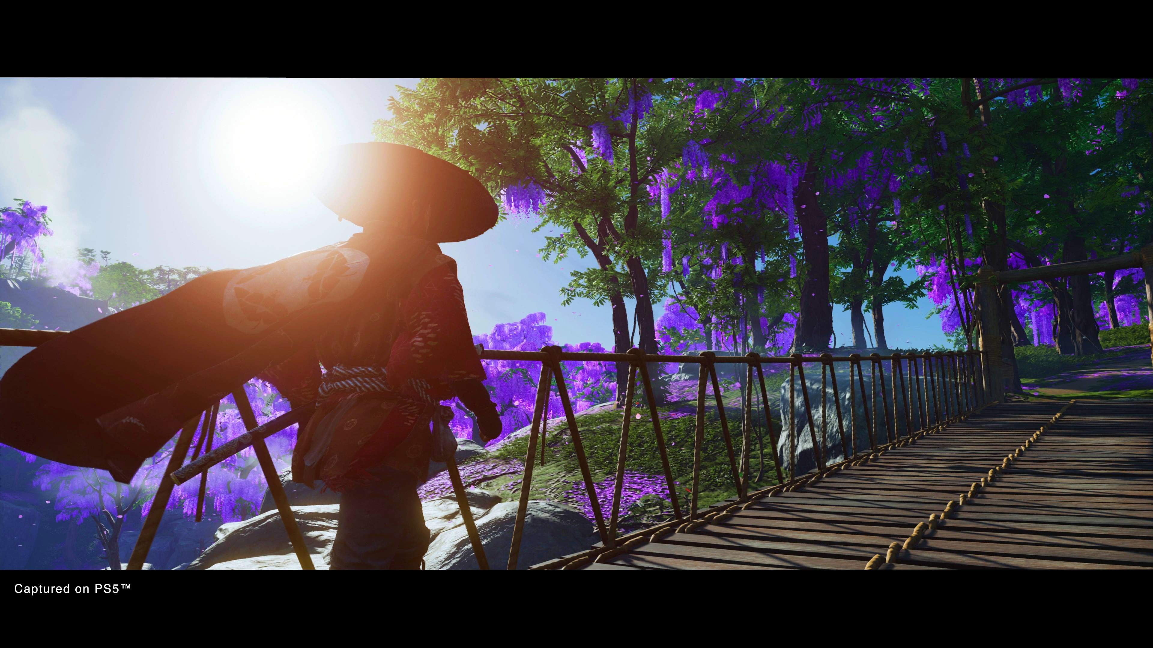 Ghost of Tsushima - imagem 1