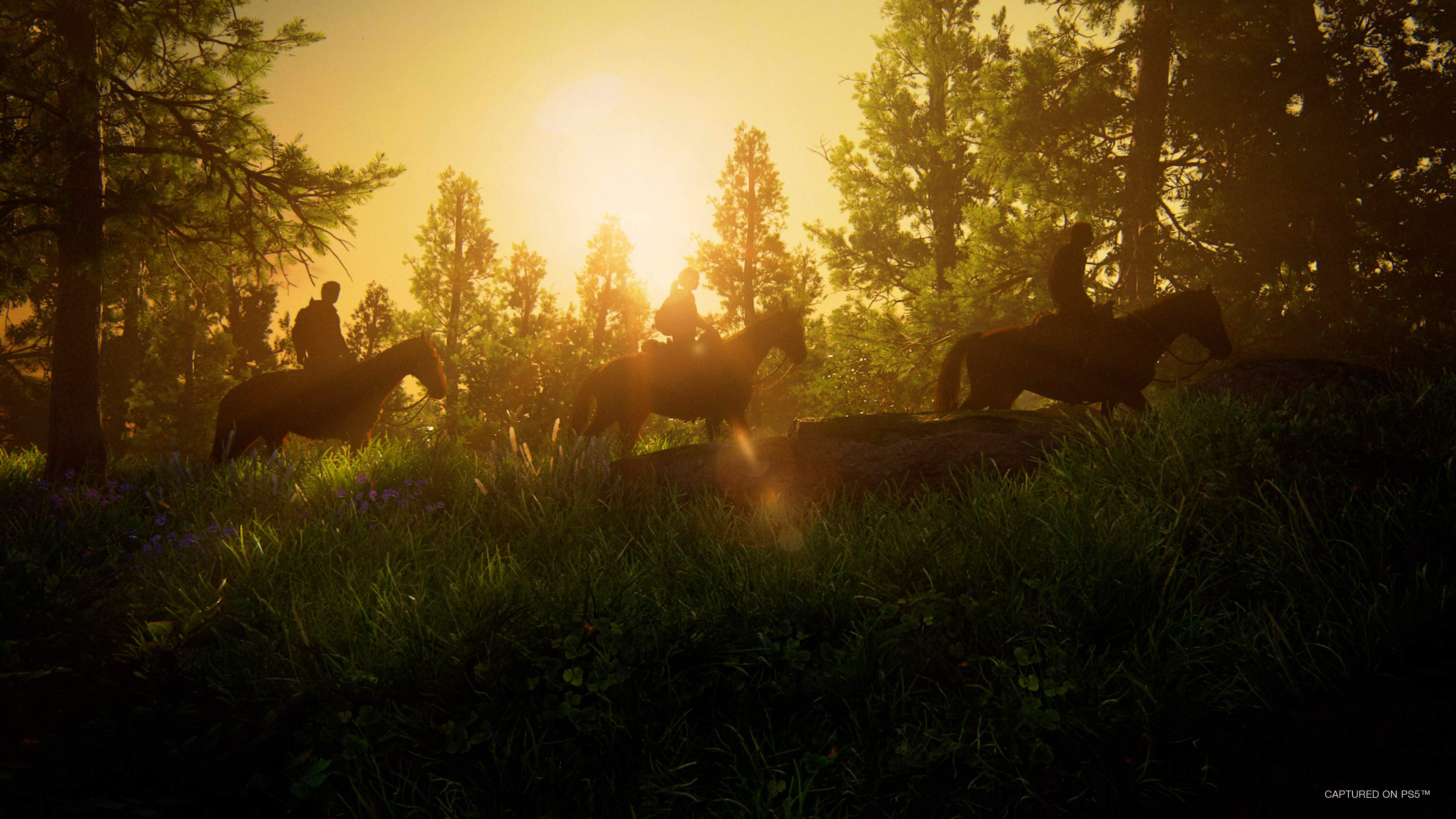 The Last of Us Parte I - imagem 9