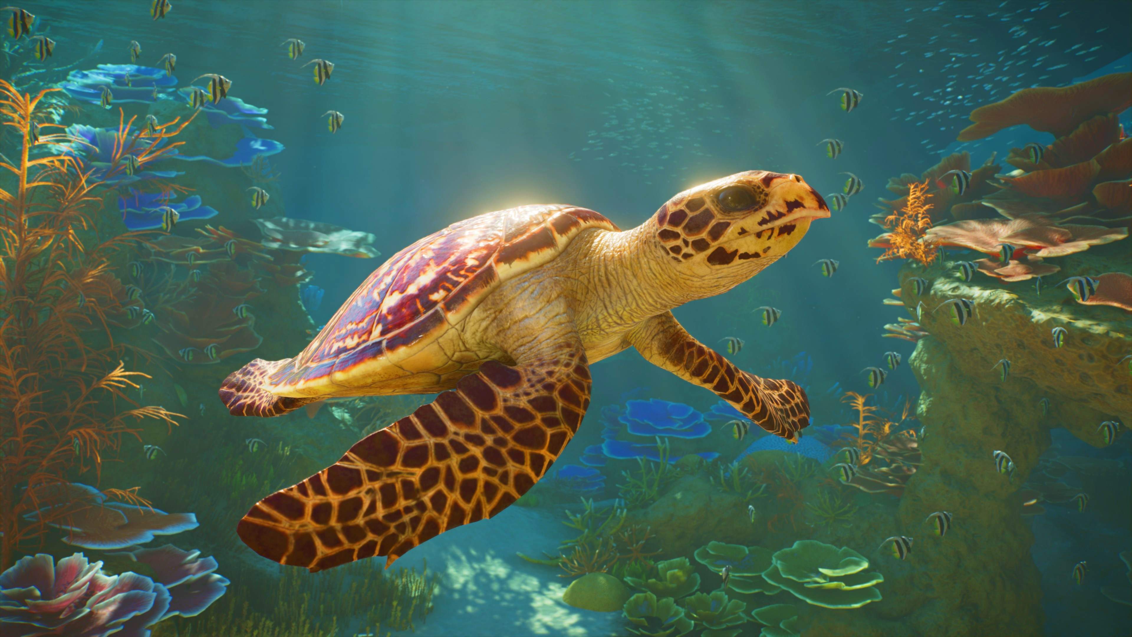 Planet Zoo 2 (Series S | X) - imagem 3