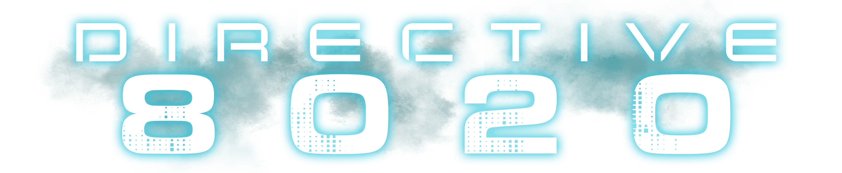 Directive 8020 logo